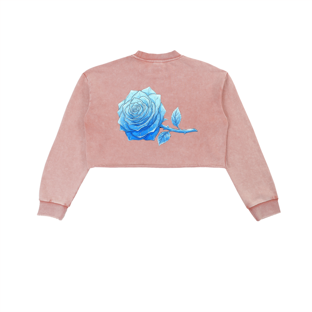AISURU (Snow Washed Raw Edge Cropped Sweatshirt)