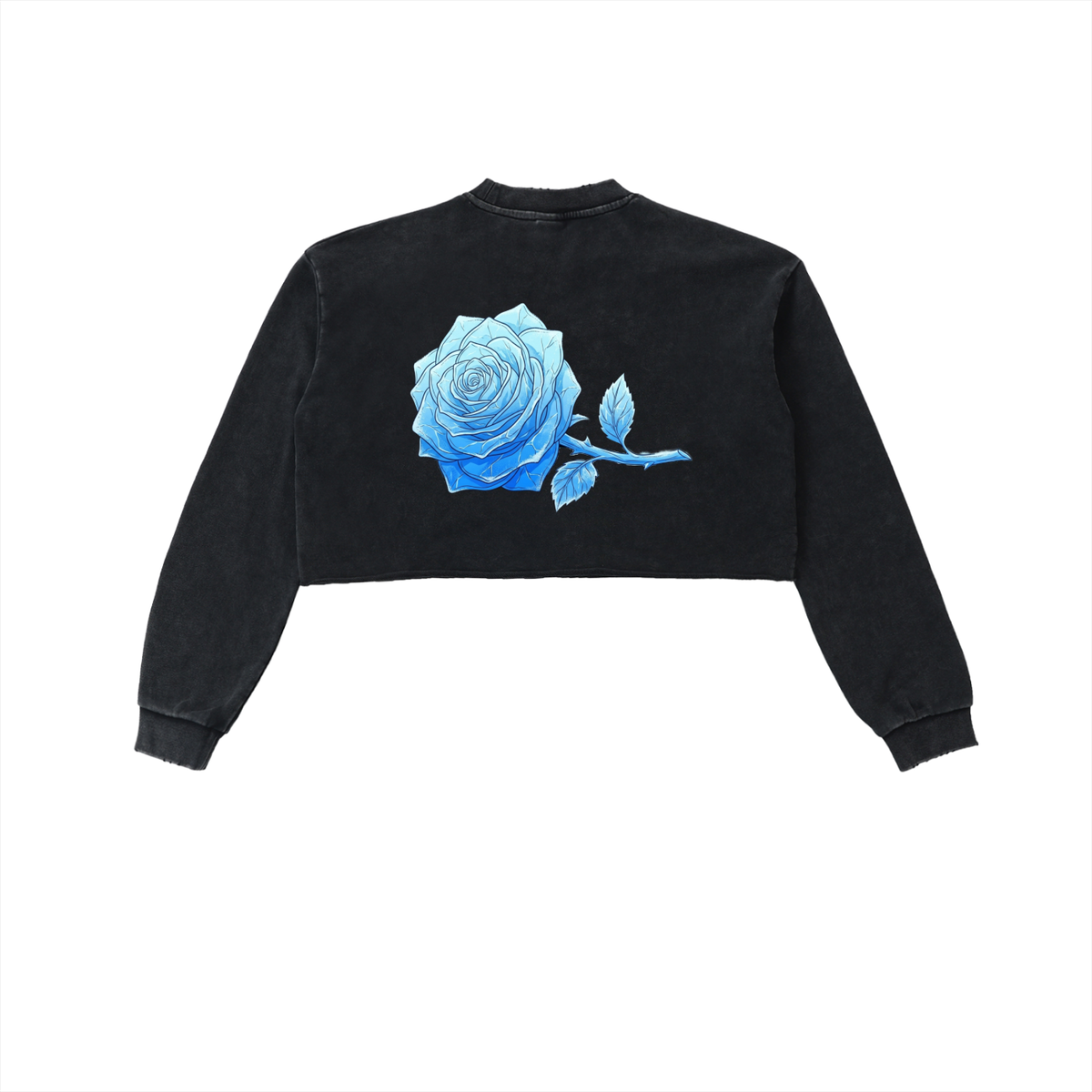 AISURU (Snow Washed Raw Edge Cropped Sweatshirt)