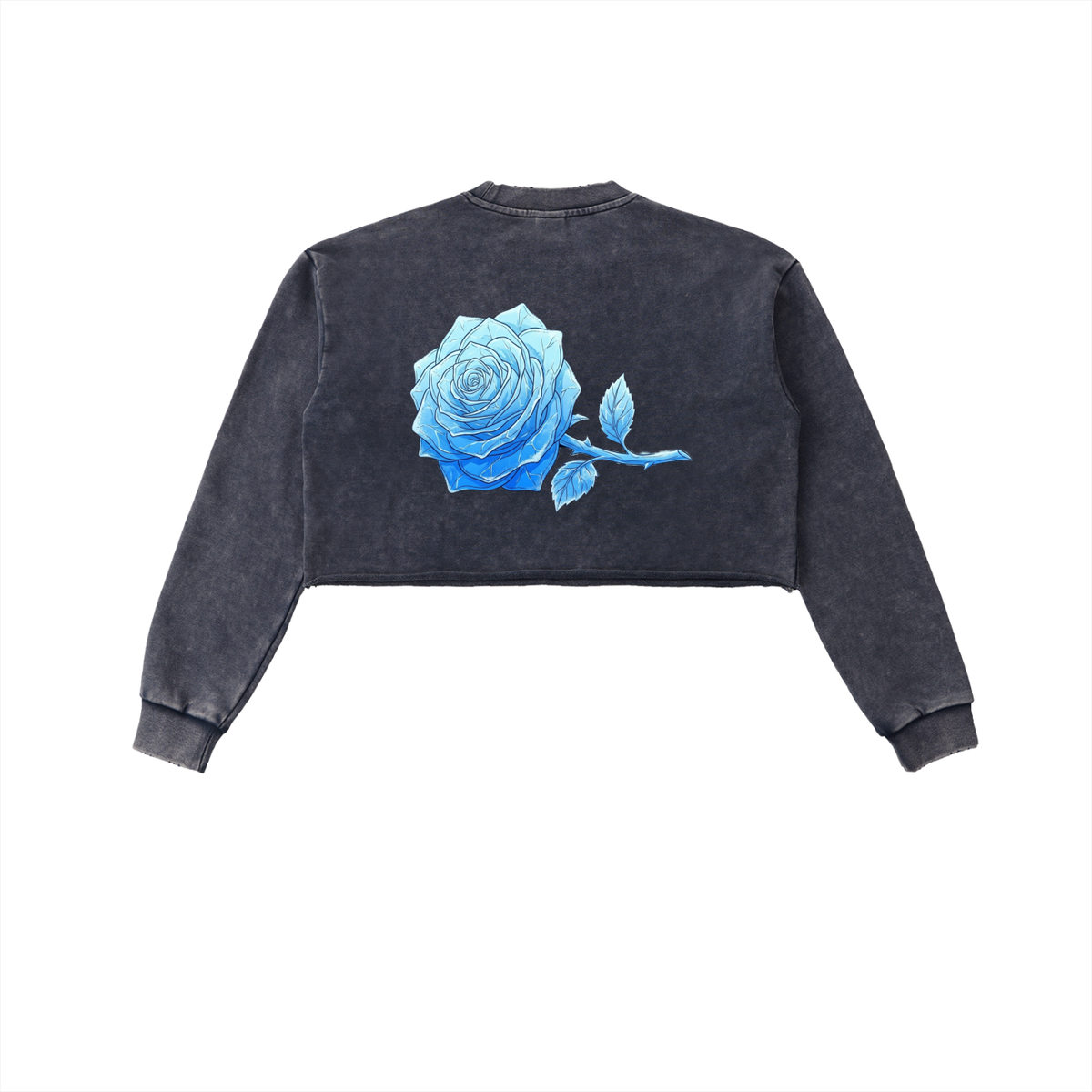 AISURU (Snow Washed Raw Edge Cropped Sweatshirt)